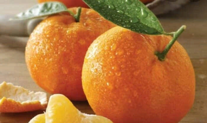 Лучшие продукты для ваших волос: ТОП-5 натуральных продуктов которые способствуют поддержанию жизни, питания и роста ваших волос