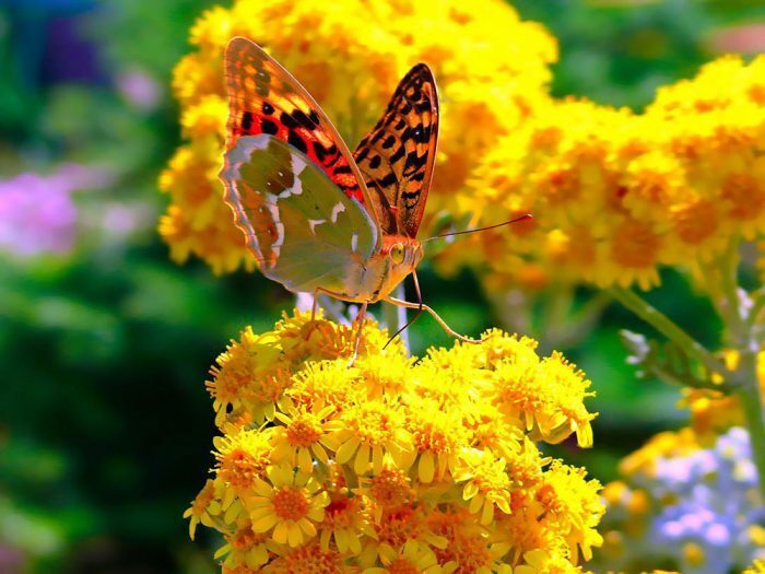 Россияне перестанут терять деньги при переводах