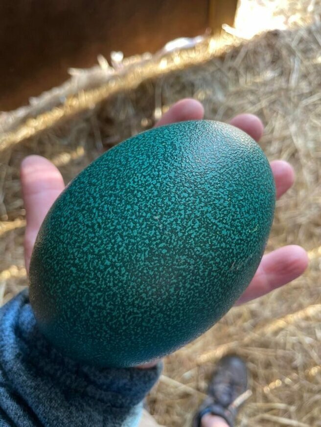 Удивительные и необычные факты и явления в природе.