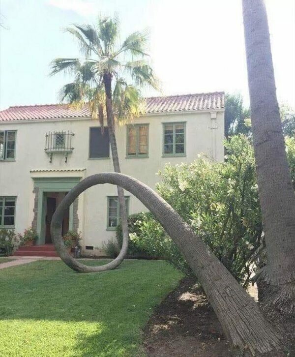 Удивительные и необычные факты и явления в природе.