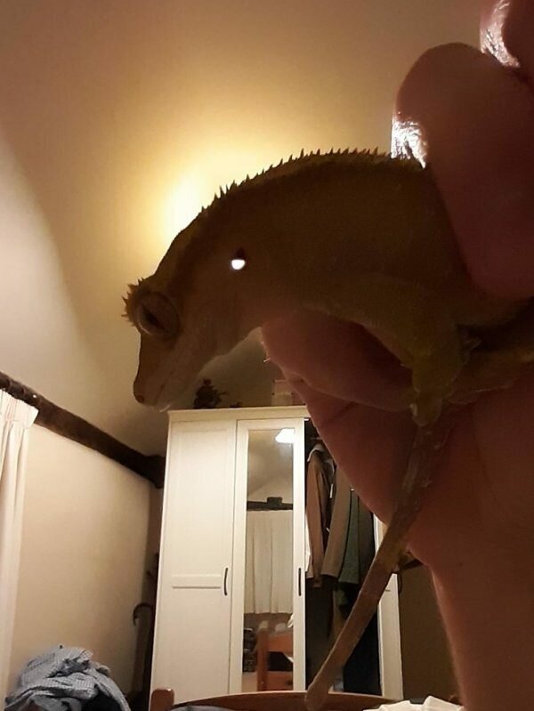 Удивительные и необычные факты и явления в природе.