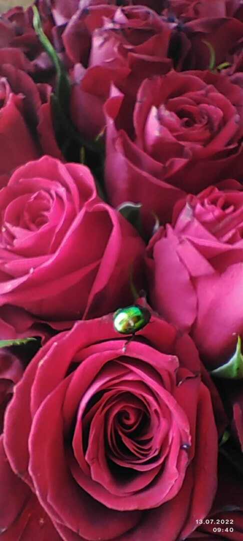 Начало начисления взносов на капремонт при поэтапной сдаче секций новостройки