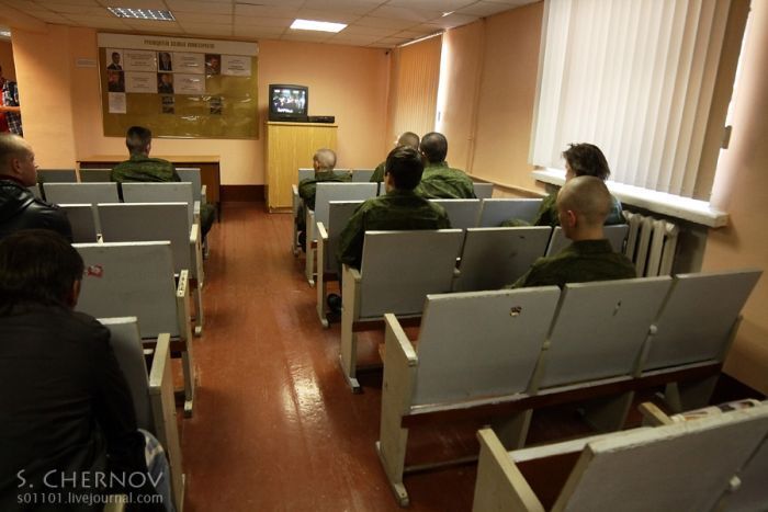 Должны ли наши дети-сыновья служить в армии? И меет ли в наше время значение фраза-Долг родине...