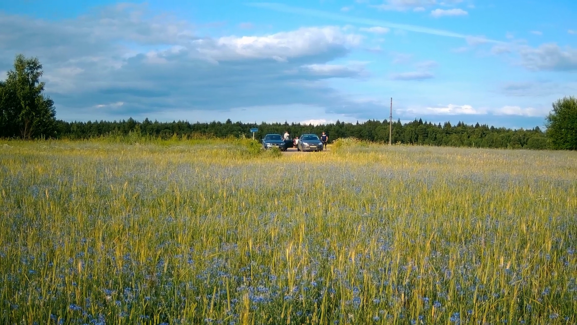 Полицейский беспредел в Можайске. М.О.