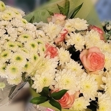 Елена, г. Москва