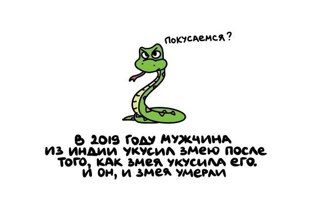 Разные интересные факты на все случаи жизни