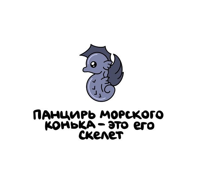 Разные интересные факты на все случаи жизни