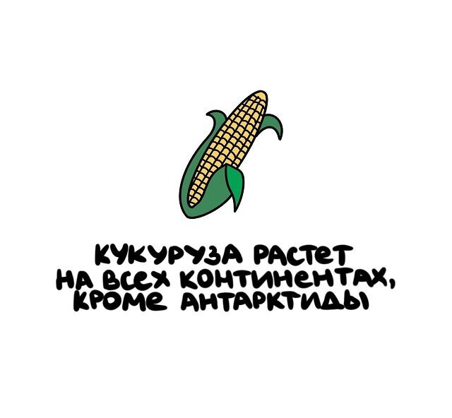 Разные интересные факты на все случаи жизни