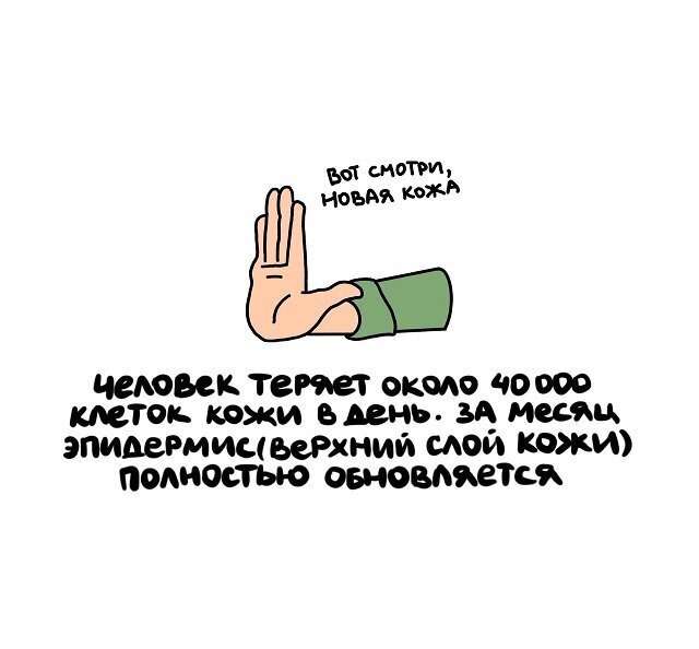 Разные интересные факты на все случаи жизни