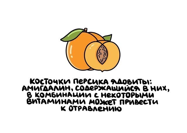 Разные интересные факты на все случаи жизни