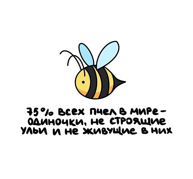 Разные интересные факты на все случаи жизни