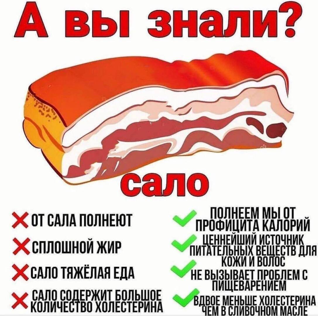Факты про сало, а вы знали?