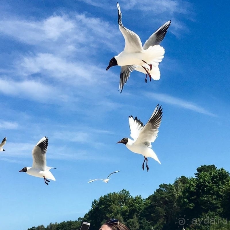 Поворотный 1988 год в моей жизни в эпоху грандиозных перемен. И Великие стихи Великих поэтов!