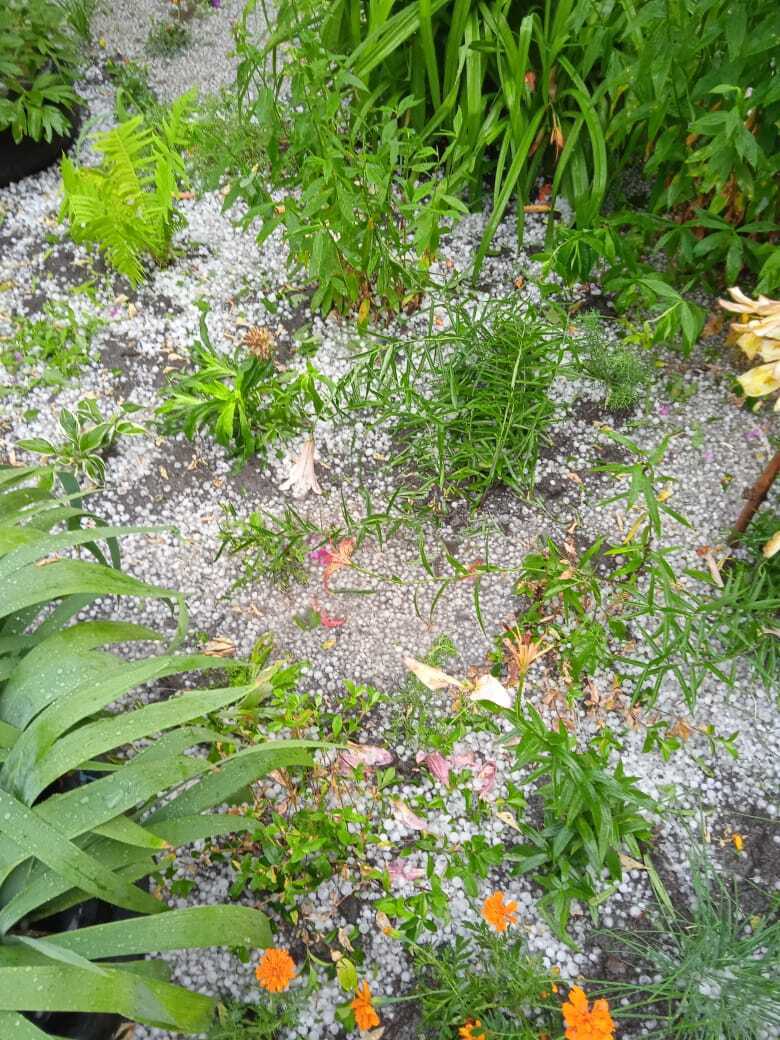 Снег в июле.Июльский град размером с вишню никого не пощадил