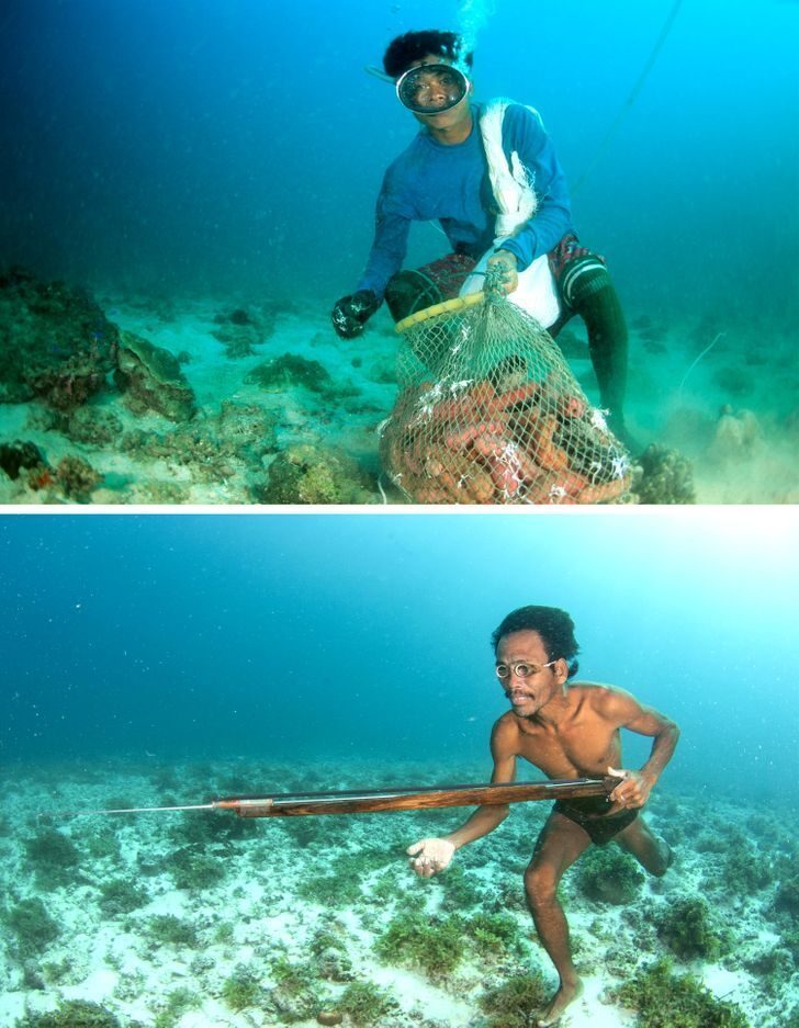 Подводная жизнь "морских цыган".