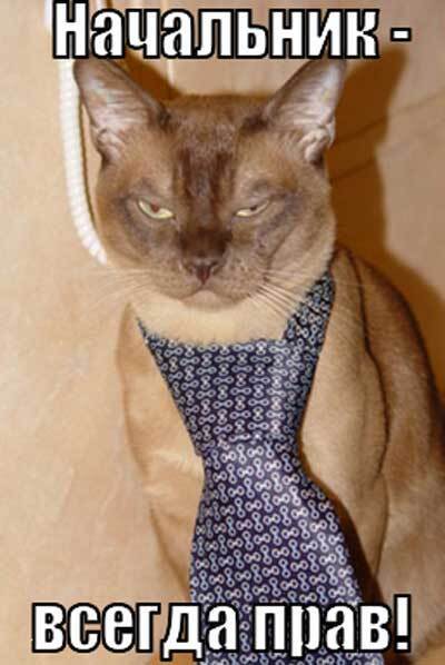 Работа по правилам: как защитить свои права при трудоустройстве?