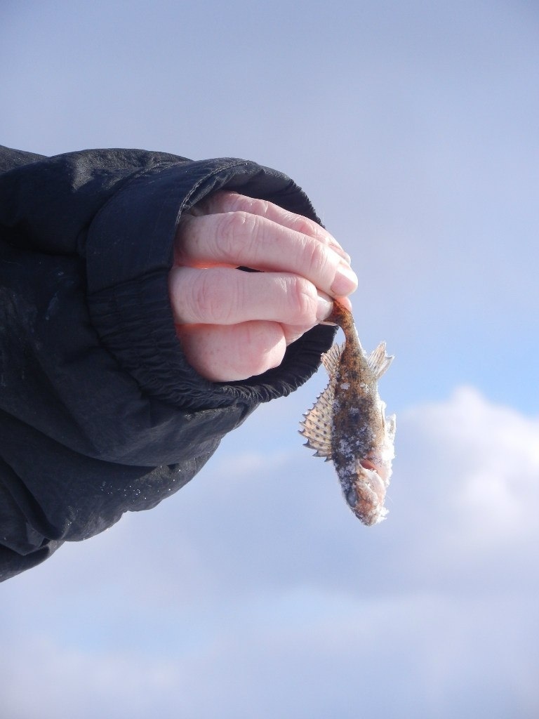 Рыбак никогда не врёт!