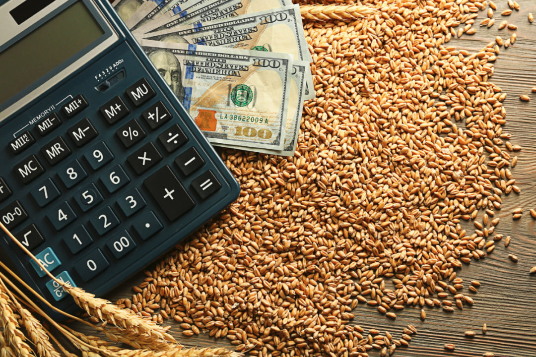 Санкционная политика терпит крах — санкции с России начинают снимать