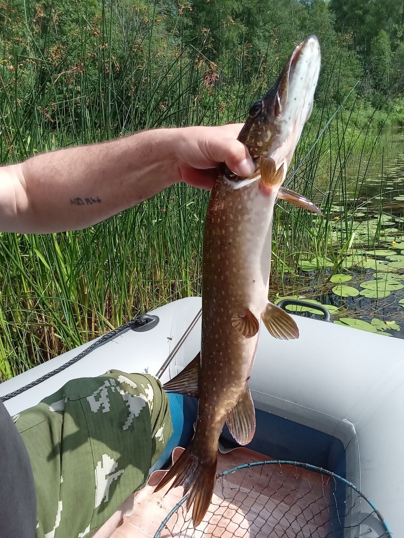 Рыбак никогда не врёт!