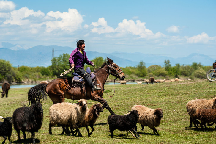 Случай завоза чумы подтвержден в городе Иньчуань (Китай).