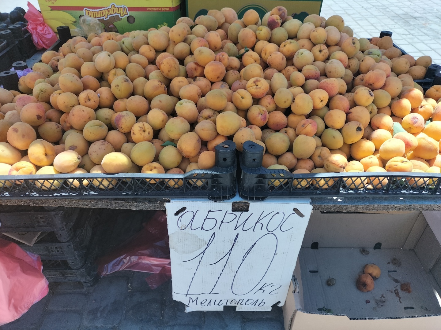 Копеечные цены. Крым заполнен фруктами из Запорожья - фото