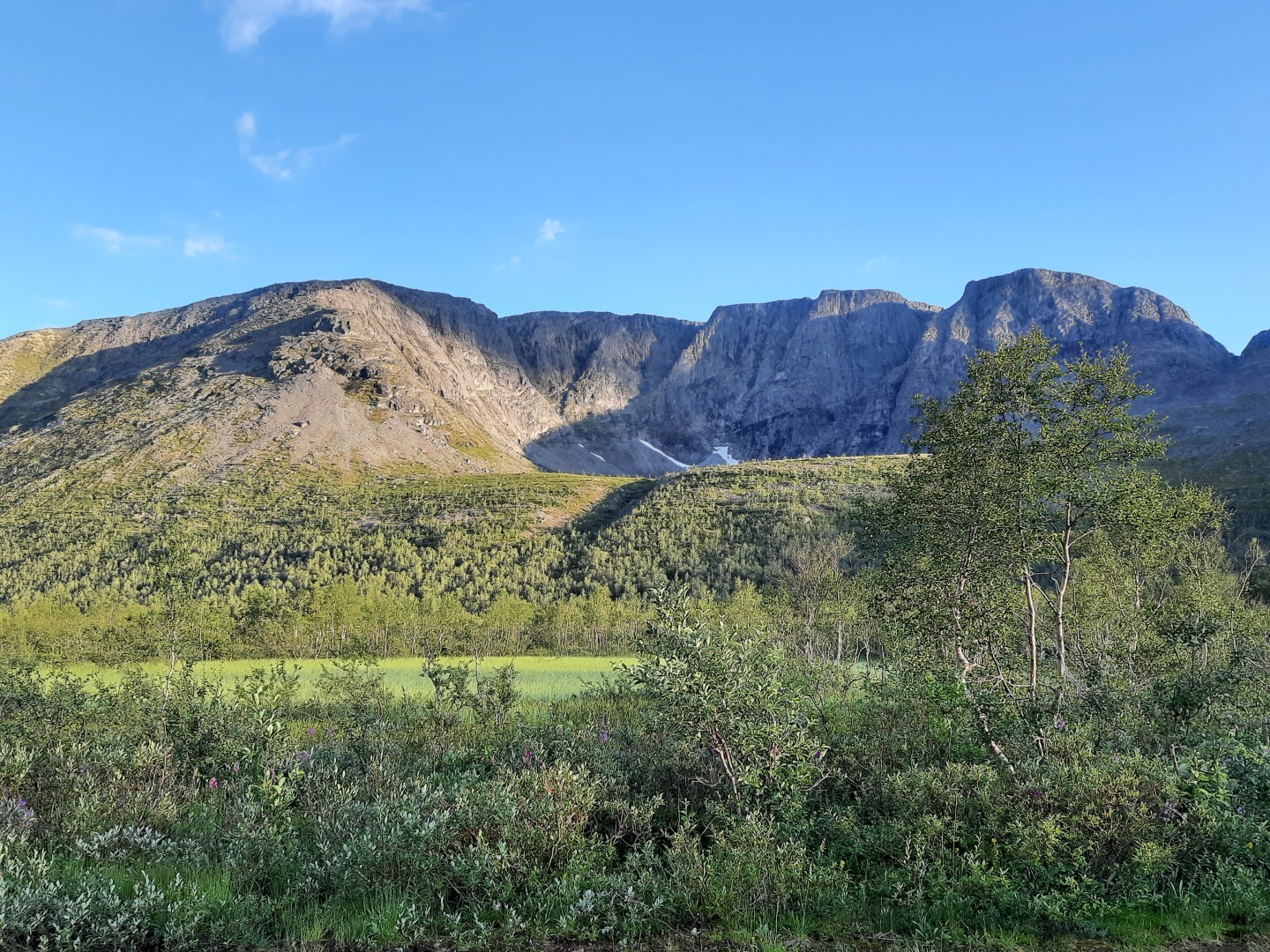 Выбора нет.
