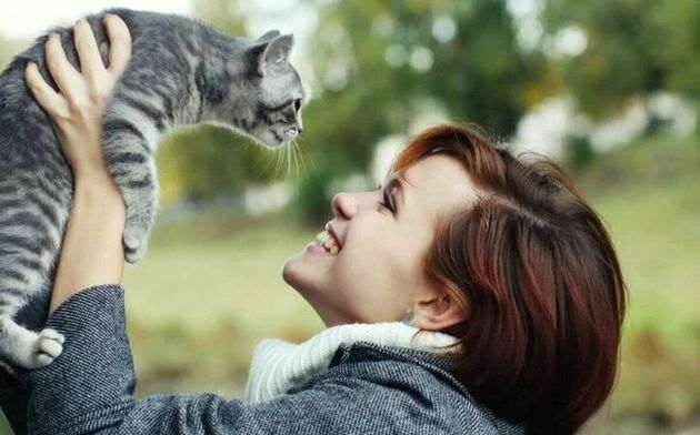 Кошки появляются в нашей жизни неслучайно: 5 причин, почему в нашей жизни есть кошка