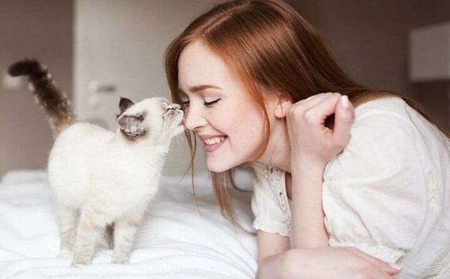 Кошки появляются в нашей жизни неслучайно: 5 причин, почему в нашей жизни есть кошка