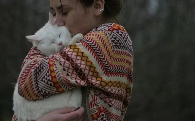 Кошки появляются в нашей жизни неслучайно: 5 причин, почему в нашей жизни есть кошка