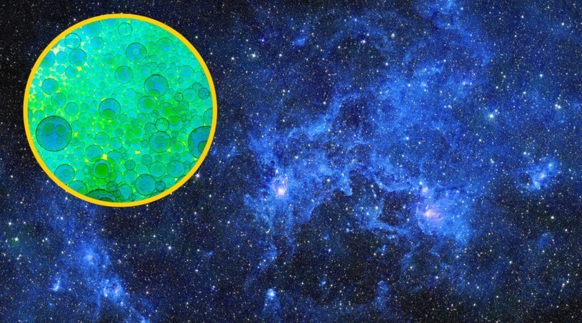 Ученые хотят вырастить миллиарды стволовых клеток в космосе