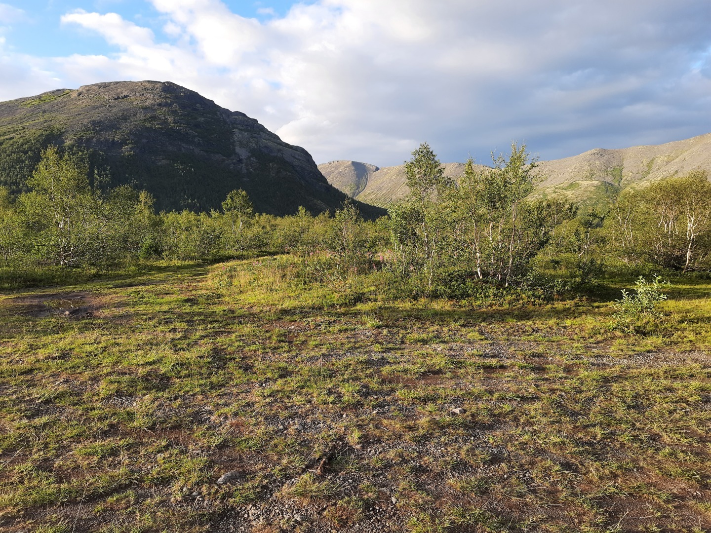 Выбора нет.