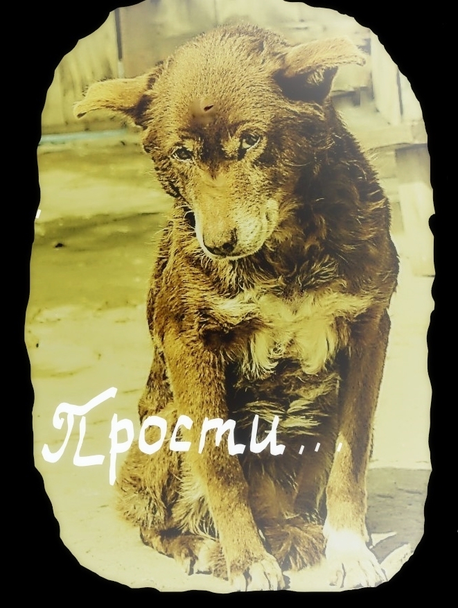 Мой ужасный поступок.