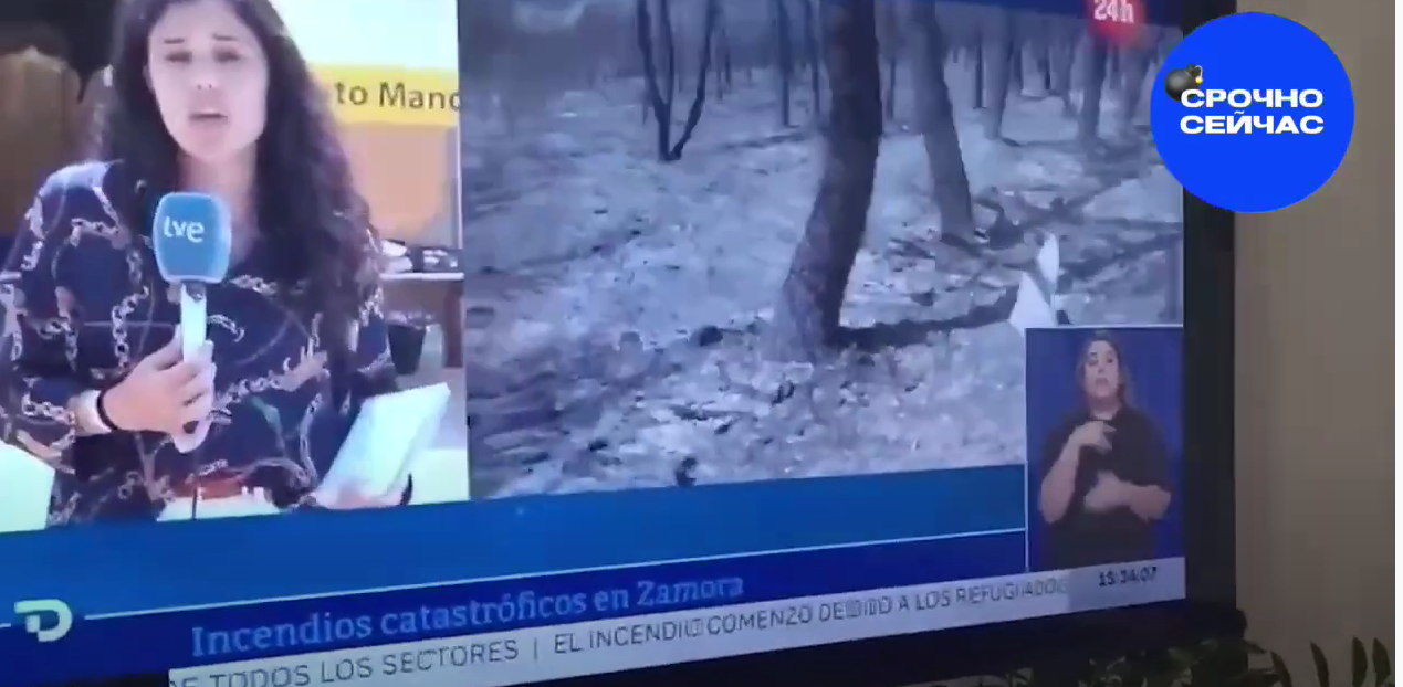 Украинские беженцы устроили пожар: Они сожгли 31 гектар лесистой местности в Испании, когда на камеру сжигали флаг России