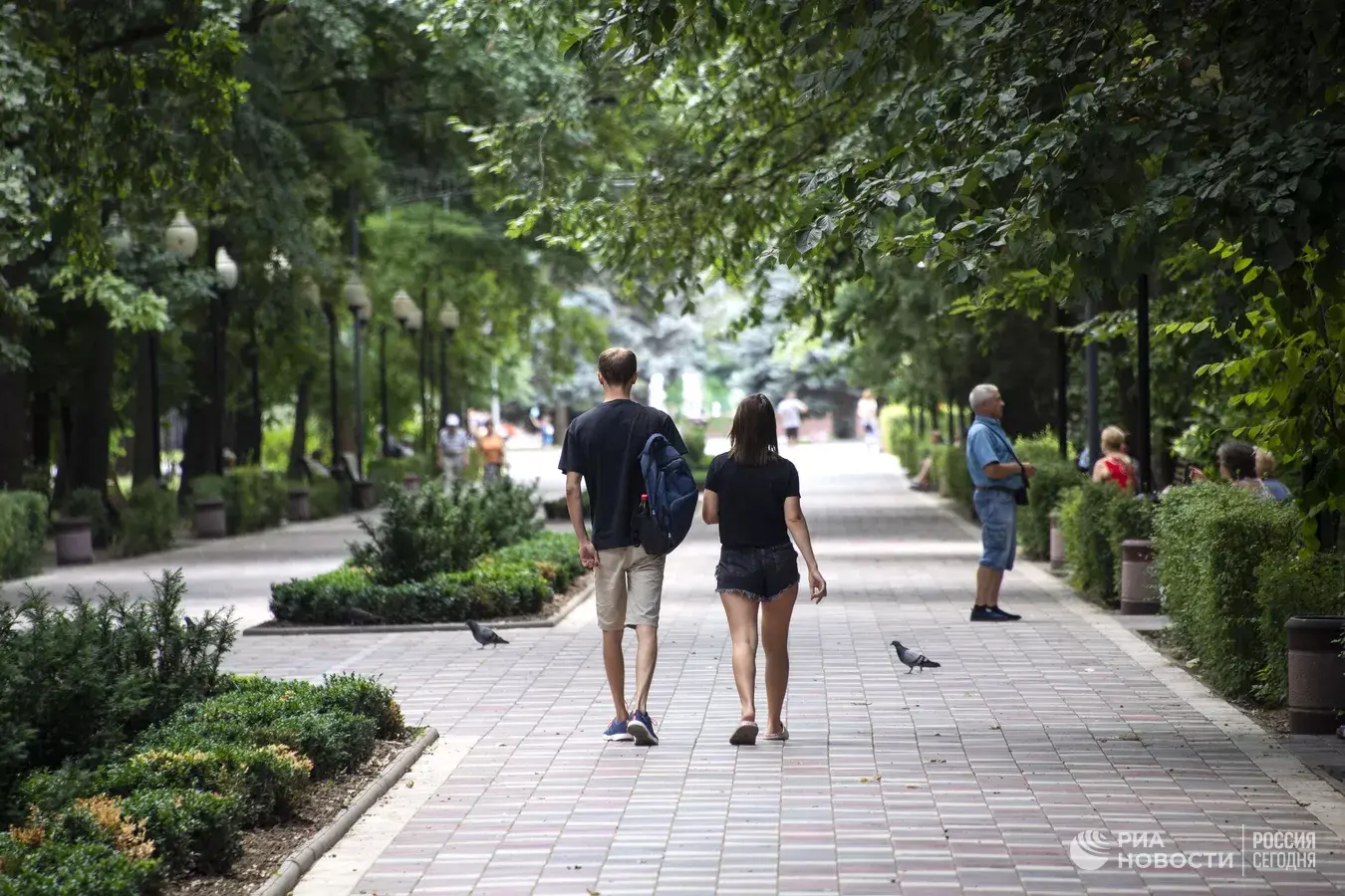 В Запорожскую район воротятся обитатели для роли в референдуме