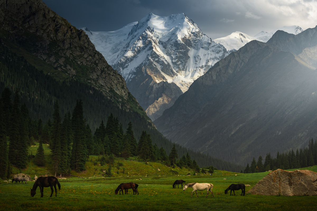Природа Кыргызстана Бишкек
