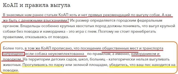Про не умных и агрессивных владельцев собак. Как мужу с сыном предложили "одеть" поводок