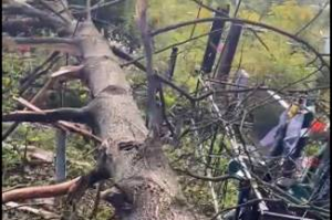 Приехали на кладбище и увидели сломанный памятник и погнутую оградку. Администрация послала нас лесом