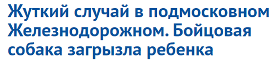 Про не умных и агрессивных владельцев собак. Как мужу с сыном предложили "одеть" поводок