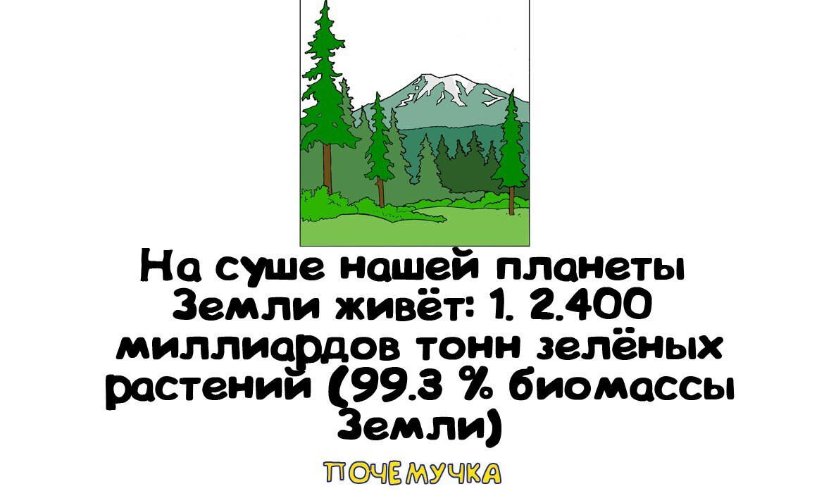Самые интересные и неожиданные факты, простым языком в забавных картинках. Почемучка.
