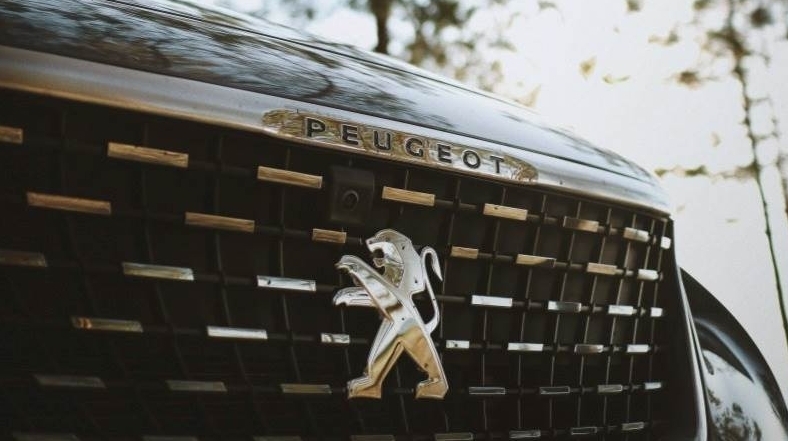 Чистая выручка Stellantis в первом полугодии составила 88 мл вро.