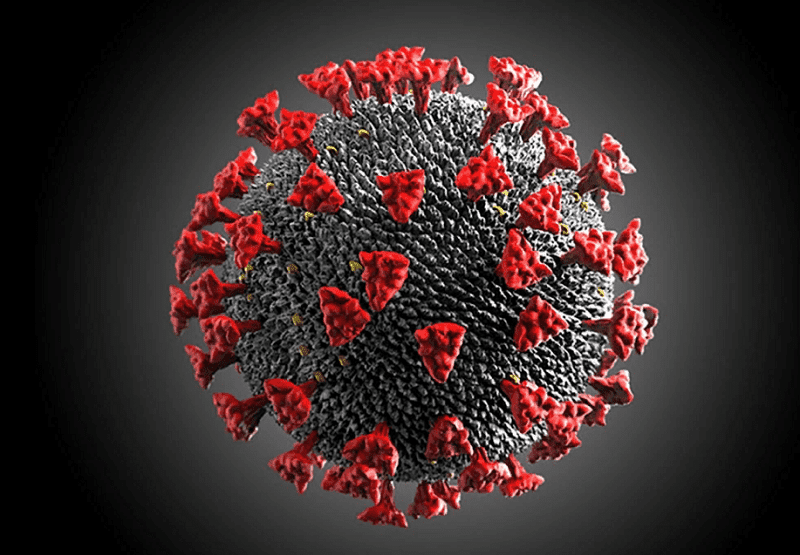 Репортаж из больничного окопа. Кентавр.