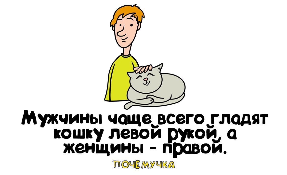 Самые интересные и неожиданные факты, простым языком в забавных картинках. Почемучка.