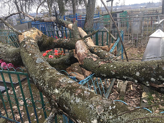 Приехали на кладбище и увидели сломанный памятник и погнутую оградку. Администрация послала нас лесом