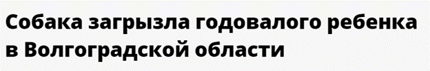 Про не умных и агрессивных владельцев собак. Как мужу с сыном предложили "одеть" поводок