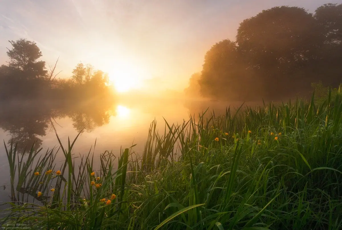 Не зовёт, не тревожит