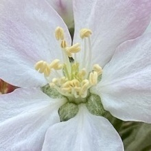 Пользователь, г. Чебоксары