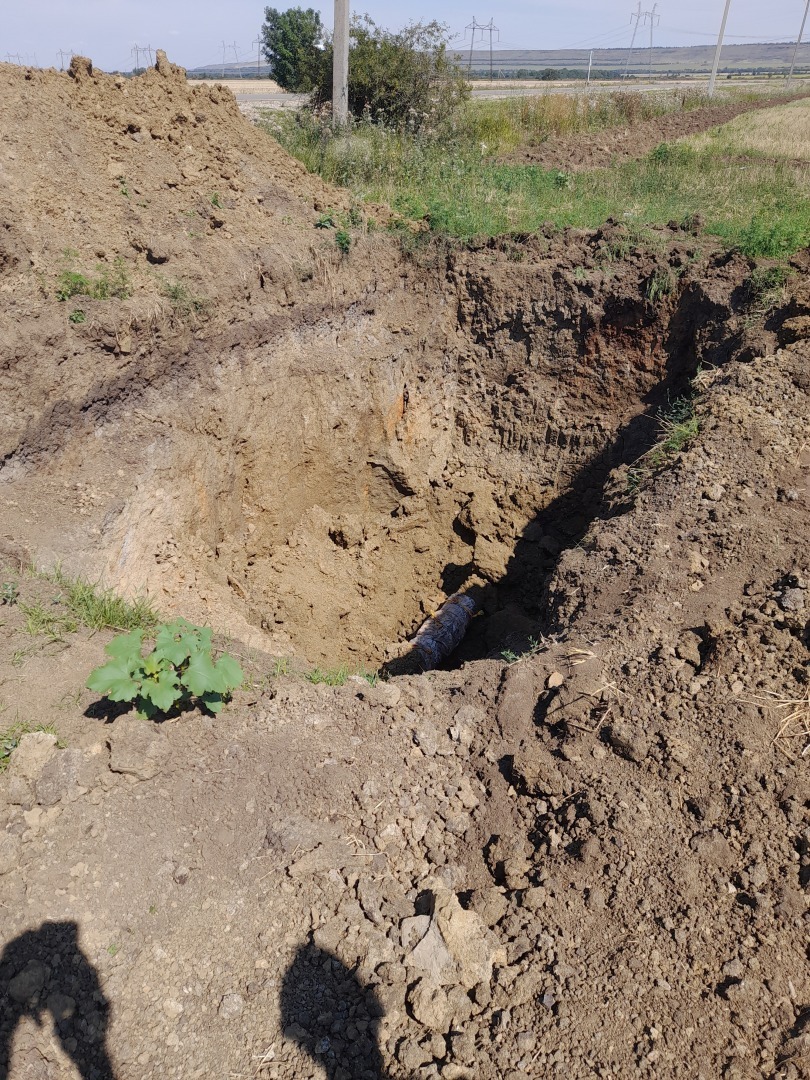 Живут за счёт простого народа который работает за шапку сухарей!!!!