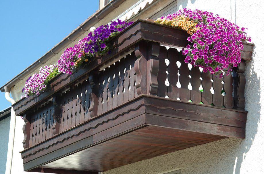 Теперь за размещение цветов на балконе – штраф: Умеют наши власти удивлять народ