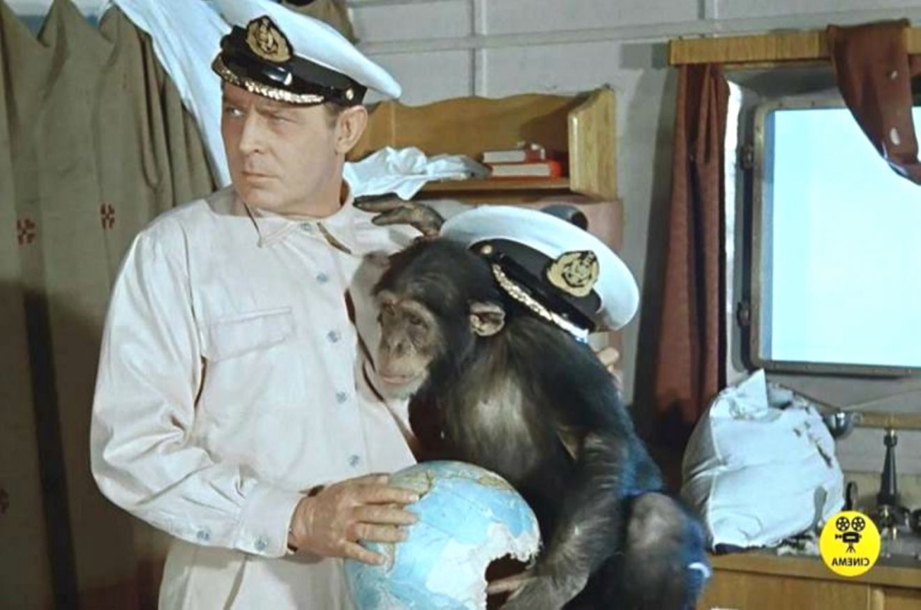 Шимпанзе в кино и на телевидении.