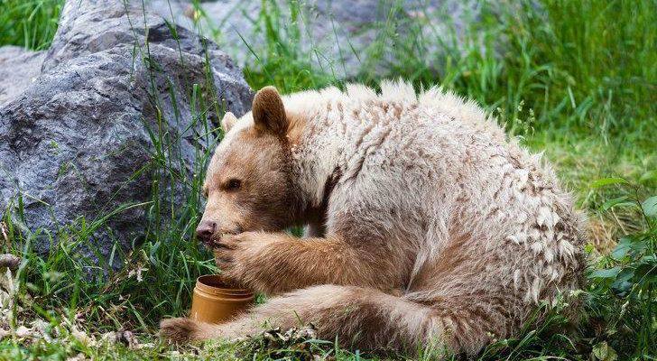 Рубрика: Сегодня я узнала №4